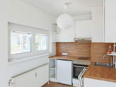 Terrassenwohnung mieten in 1190 Wien (Bild 5)