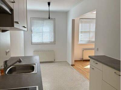 Wohnung mieten in 1130 Wien (Bild 4)