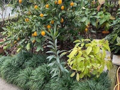 Haus kaufen in 51265 Kacjak (Bild 3)