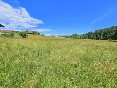 Grundstück kaufen in 8570 Voitsberg