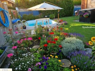 Haus kaufen in 2011 Sierndorf (Bild 3)