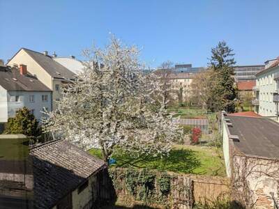 Wohnung kaufen in 4020 Linz