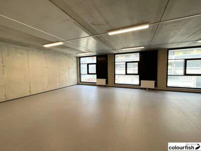 Gewerbeobjekt mieten in 1220 Wien (Bild 4)