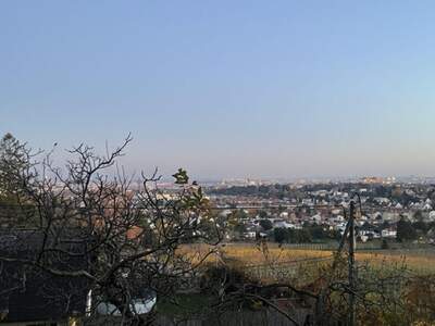 Haus kaufen (Bild 4)