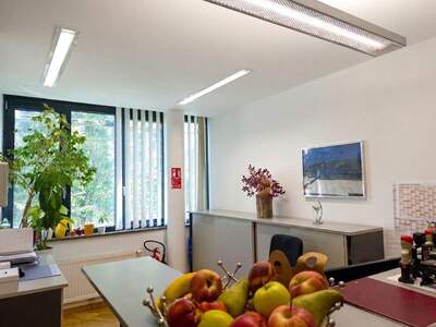 Gewerbeobjekt mieten in 5020 Salzburg (Bild 4)