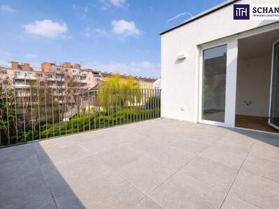 Terrassenwohnung kaufen in 2320 Schwechat (Bild 2)