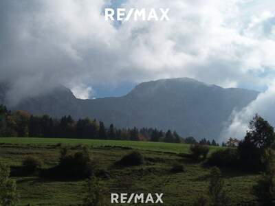 Grundstück kaufen in 4853 Steinbach (Bild 3)