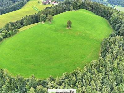 Grundstück kaufen in 4554 Oberschlierbach (Bild 3)