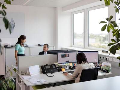 Gewerbeobjekt mieten in 1230 Wien (Bild 3)