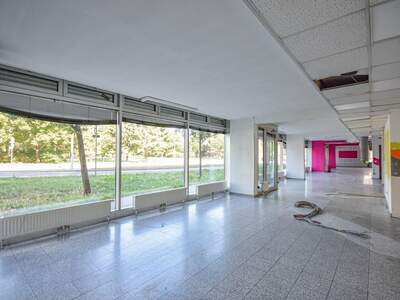 Gewerbeobjekt mieten in 1230 Wien (Bild 3)