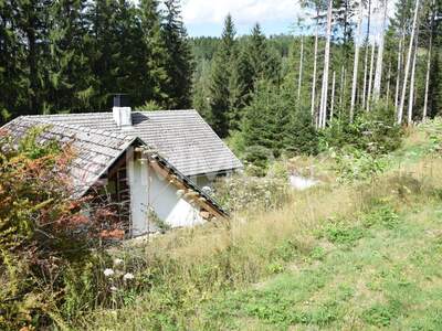 Einfamilienhaus kaufen in 4274 Schönau (Bild 1)