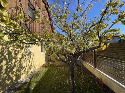 Mehrfamilienhaus kaufen in 2482 Münchendorf (Bild 3)