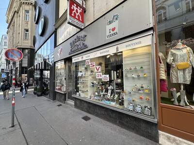 Gewerbeobjekt mieten in 1010 Wien (Bild 1)