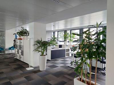Gewerbeobjekt mieten in 8020 Graz (Bild 1)