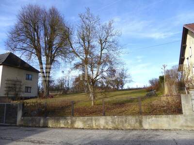 Grundstück kaufen in 4600 Wels (Bild 4)