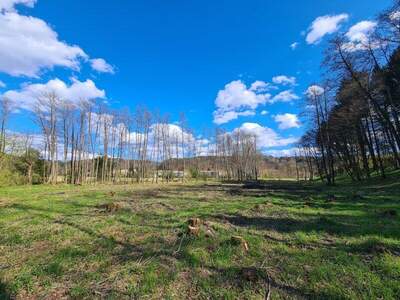 Grundstück kaufen in 8082 Kirchbach (Bild 5)