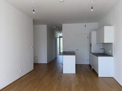 Wohnung mit Balkon mieten in 4600 Wels (Bild 4)