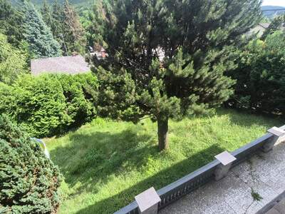 Einfamilienhaus kaufen in 3011 Untertullnerbach (Bild 3)