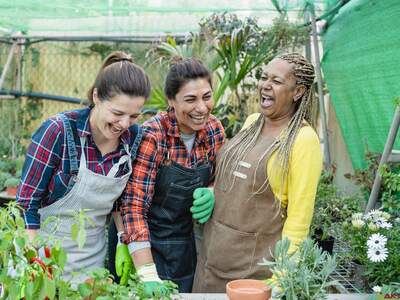 Wohnung mieten in 9100 Völkermarkt (Bild 5)