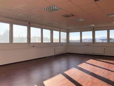 Gewerbeobjekt mieten in 8200 Gleisdorf (Bild 1)