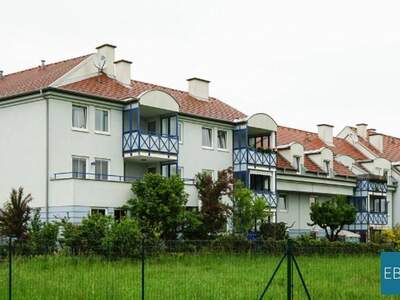 Wohnung mieten in 7400 Oberwart