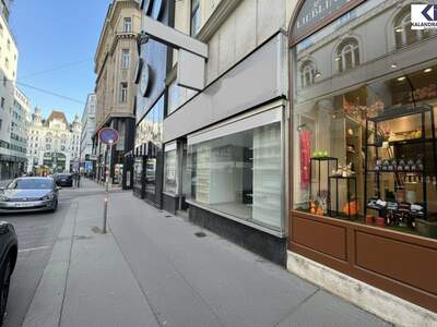Gewerbeobjekt mieten in 1010 Wien
