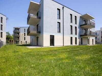 Terrassenwohnung kaufen in 2700 Wr. Neustadt (Bild 5)