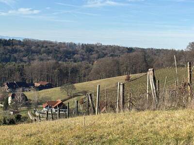 Grundstück kaufen in 8352 Unterlamm (Bild 4)