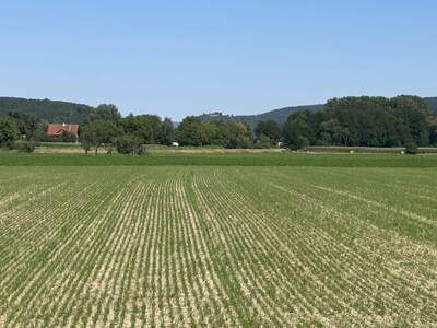 Grundstück kaufen in 2824 Seebenstein (Bild 2)