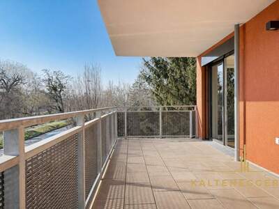 Wohnung mieten in 1100 Wien