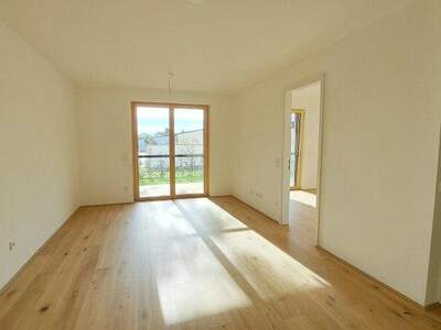 Terrassenwohnung kaufen in 7100 Neusiedl (Bild 4)