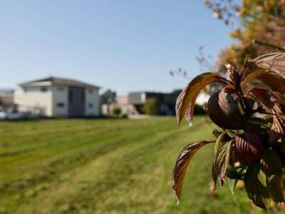 Grundstück kaufen in 6972 Fussach