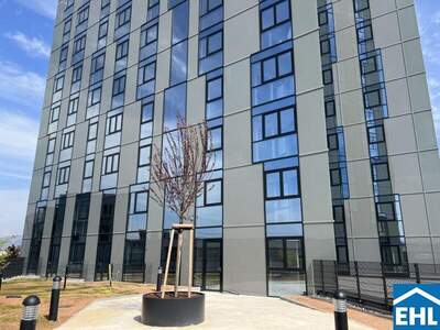 Terrassenwohnung mieten in 4020 Linz (Bild 2)