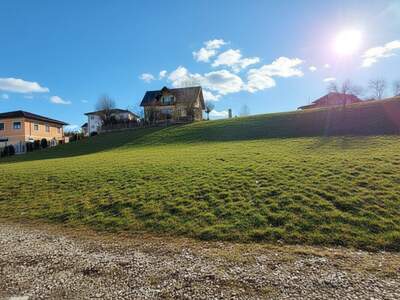 Grundstück kaufen in 4076 Sankt Marienkirchen