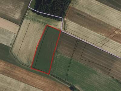 Gewerbeobjekt kaufen in 3281 Schachau