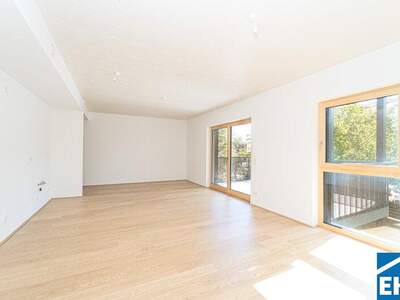Terrassenwohnung kaufen in 2340 Mödling (Bild 3)