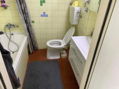 Terrassenwohnung kaufen in 4020 Linz (Bild 4)