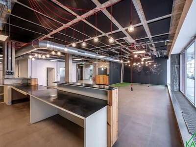 Gewerbeobjekt mieten in 1090 Wien