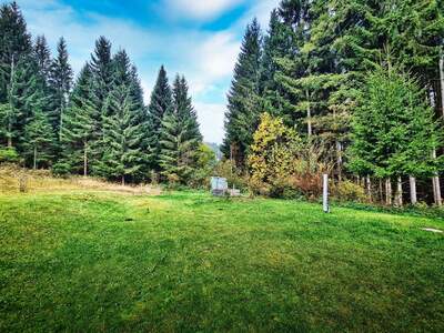 Haus kaufen in 9563 Himmelberg (Bild 5)