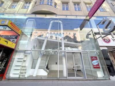 Gewerbeobjekt mieten in 1060 Wien (Bild 1)