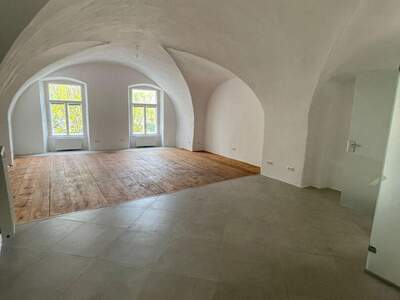 Gewerbeobjekt mieten in 2340 Mödling (Bild 2)