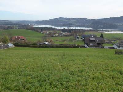 Grundstück provisionsfrei kaufen in 5164 Seeham