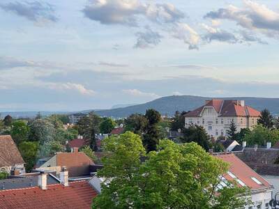 Wohnung kaufen in 2500 Baden