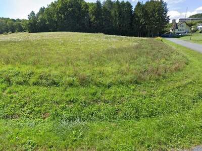Grundstück kaufen in 7400 Oberwart