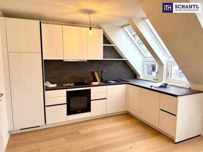 Terrassenwohnung mieten in 1180 Wien (Bild 1)