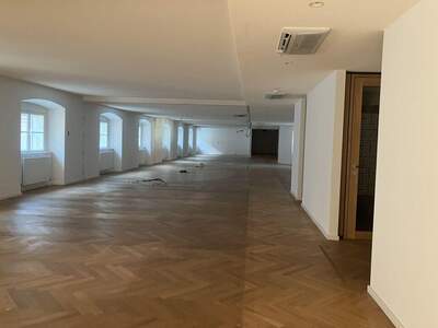 Gewerbeobjekt mieten in 1010 Wien (Bild 5)