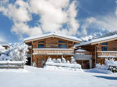 Haus kaufen in 6353 Going