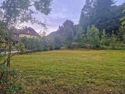 Grundstück kaufen in 5324 Vordersee