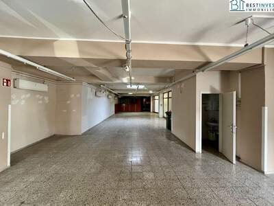 Gewerbeobjekt mieten in 8280 Fürstenfeld (Bild 3)