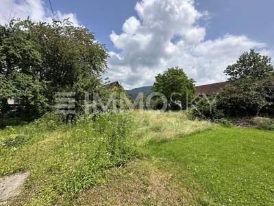 Grundstück kaufen in 6832 Sulz